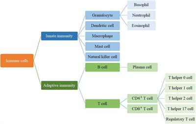 Mesenchymal Stromal/Stem Cells-Derived Exosomes as an Antimicrobial Weapon for Orodental Infections